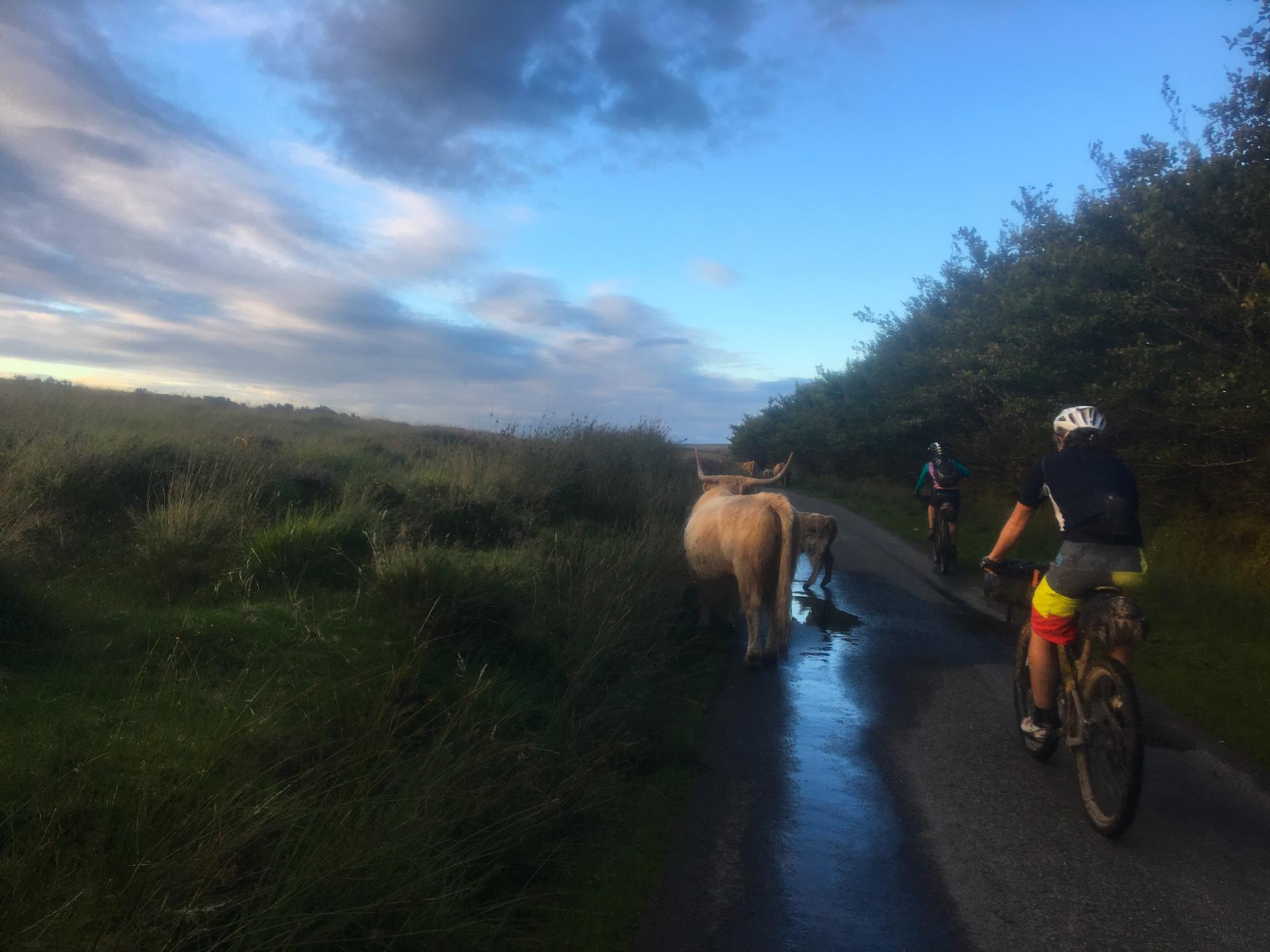 The West Country Way by Anna Cipullo