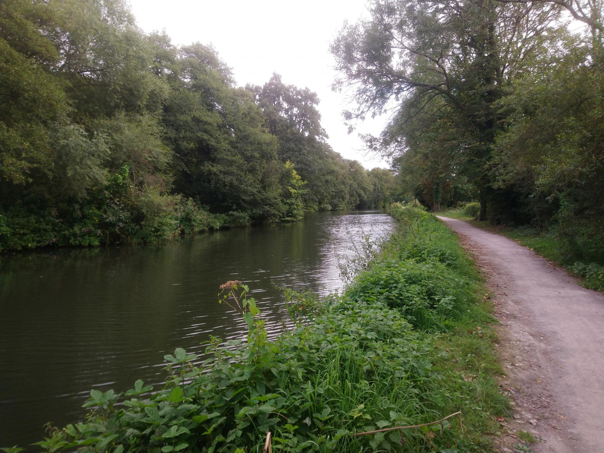 Cycling home along the river Wey