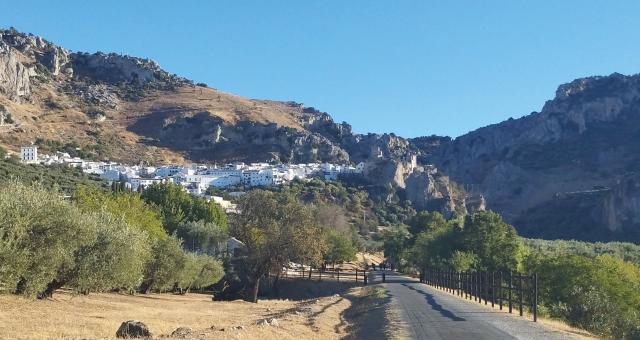 A quiet lane leading into a village on a mountainside. There are olive trees lining the road