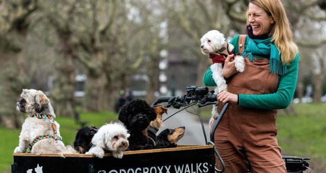 A woman is standing next to a black e-cargo trike with the name of her business stamped on it: Dogboxx Walks. She's wearing orange dungarees, a green top and boots. She's holding a fluffy white dog and there are another six dogs in the cargo box