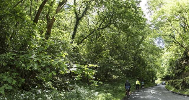 JoozleDymond_GetGorgeousCycling_Bristol-CheddarGorge_2016 (209).jpg