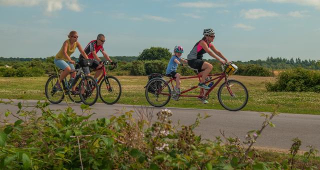 A woman and child are cycling on a tandem, with the child on the back, along a country road. There are two people on solo bikes behind them - a man on a road bike, a woman on a mountain bike. They are wearing normal clothes. The child and woman on the tandem are wearing helmets