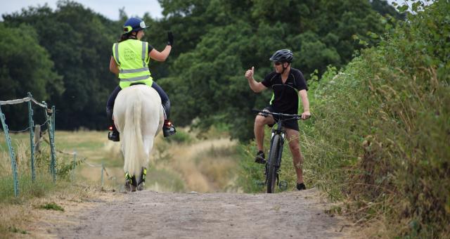 Cyclist and horse rider passing 