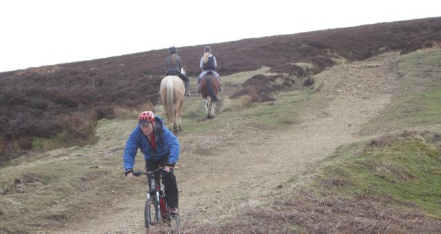 Mountain bike riders on a trail Photo by John Horscroft