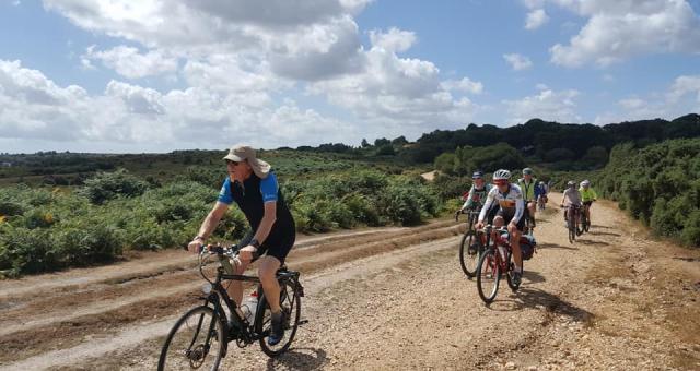 Riders in New Forest