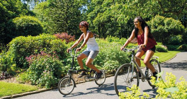 Two people cycle side by side through a park on a sunny day in summer. 