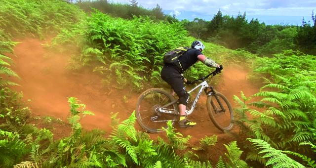 A mountain biker riding through bracken on a dusty dirt trail