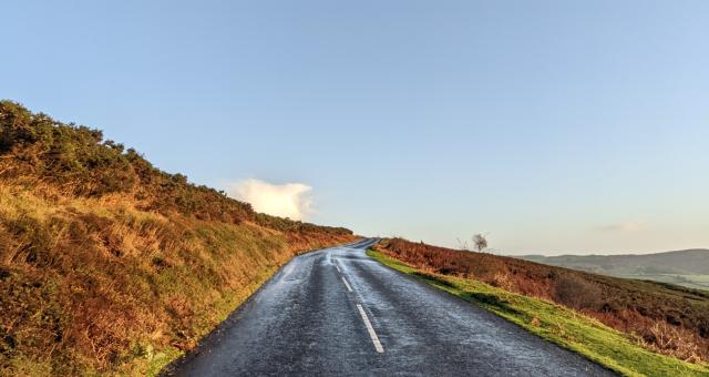 Autumn bracken shades on the Trendlebere climb, Dartmoor. 