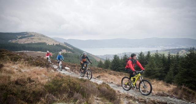 Rostrevor Mountain Bike Trail